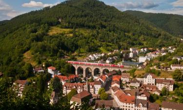 Hotels with Parking in Niederwasser