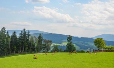 Hoteles en Miesenbach