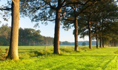 Vakantiewoningen in Gasselte