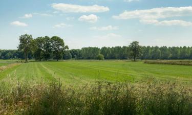 Vakantiewoningen aan het strand in Warmenhuizen