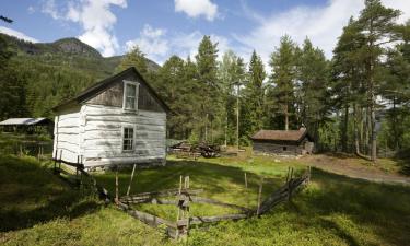 Hoteles en Nesbyen