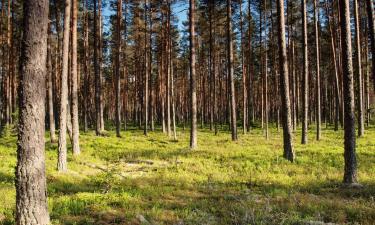 Parkolóval rendelkező hotelek Rannaküla városában