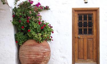 Alojamientos con cocina en Arsos