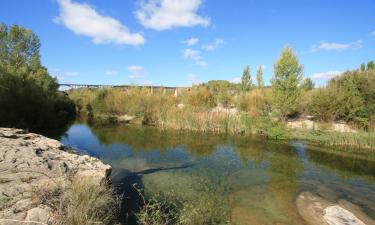 Hoteles familiares en Torre del Compte