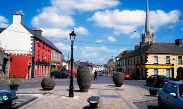 Hoteles en Bagenalstown