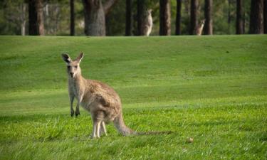 Family Hotels in Drouin