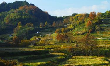 Hotels in Asuka