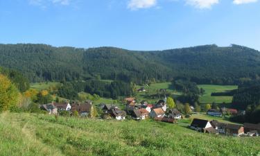 Hotels with Parking in Feilbingert