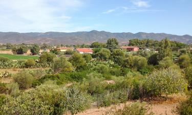 Hotels met Parkeren in Sant' Isidoro