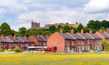 Hotel pet friendly a Bolsover