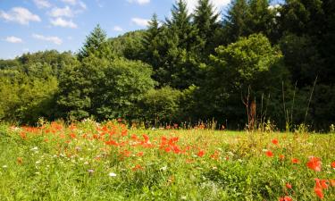 Rosdorf şehrindeki otoparklar