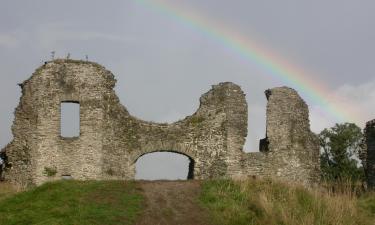 Casas y chalets en Newcastle Emlyn