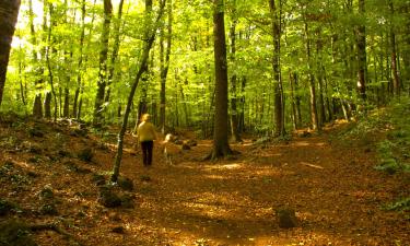 Hoteles familiares en Sant Ferriol