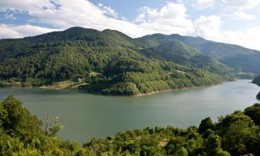 Hoteluri ieftine în Siriu