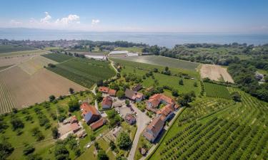 Hotels met Parkeren in Eriskirch