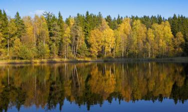 Отели в городе Хиллсборо