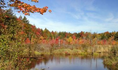 Vacances barates a Raynham