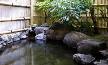 Objekti sa onsen termalnom kupkom u gradu Nasu