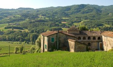 Hotels in Brescello