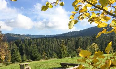 Chalets de montaña en Ujsoły