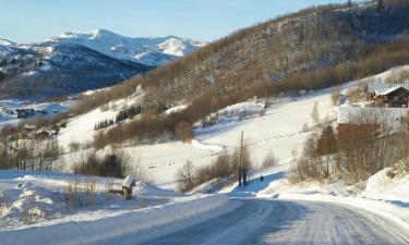 Haustierfreundliche Hotels in Fagernes