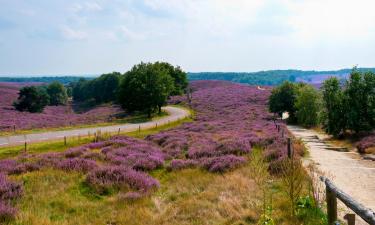 Cheap Hotels pilsētā Wapenveld