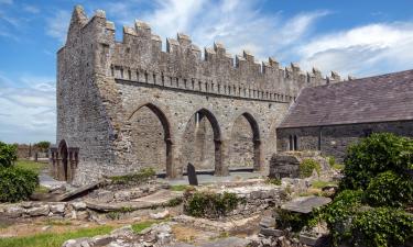 Beach rentals in Ard Fhearta