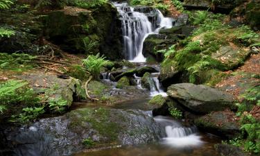 Hotels met Parkeren in Neunburg vorm Wald