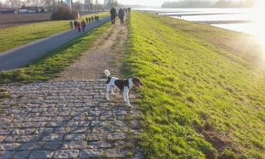 Hotellid sihtkohas Wörth am Rhein