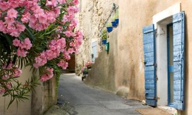 Holiday Homes in Eyragues