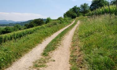 Hotels with Parking in Oberrimsingen