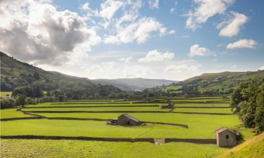 Hoteles que aceptan mascotas en Austwick