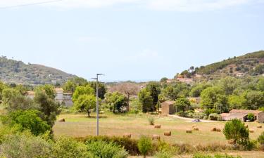 Παραθεριστικές κατοικίες σε Montecorice