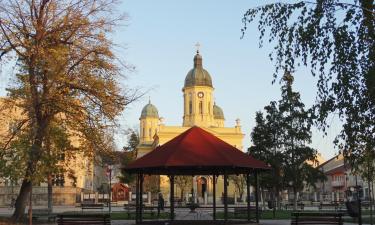 Apartamentos en Negotin