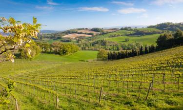 Hotéis em Montecchio Emilia