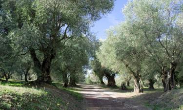 Hoteles en Arpino