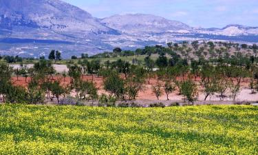 Cabanes i cottages a Laroya