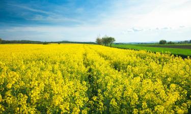 Дешевий відпочинок у місті Плоньск