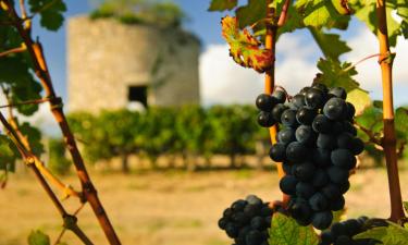 Vacation Rentals in Le Pian-Médoc