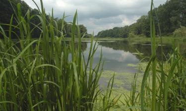 Alquileres vacacionales en la playa en Frimley