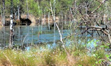 Hotely s parkováním v destinaci Etelsen