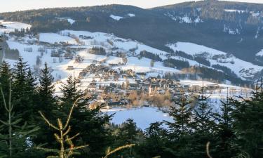 Hotels with Parking in Fischbach