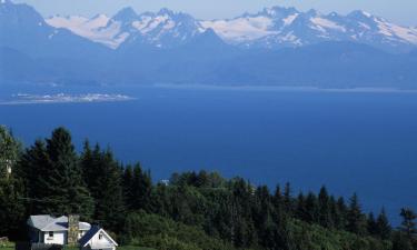 Bed and Breakfasts en Homer