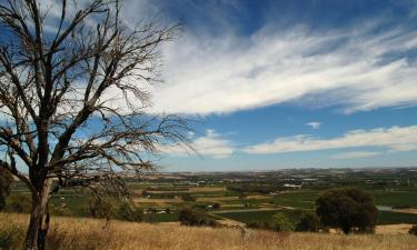 Hoteles en Tanunda