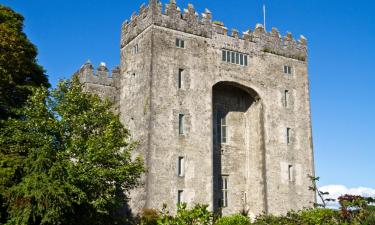 Hoteles en Bunratty