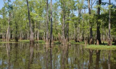 Hotely v destinácii Denham Springs