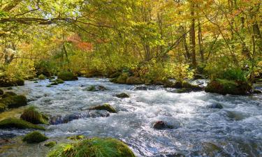 Ryokans en Hachimantai