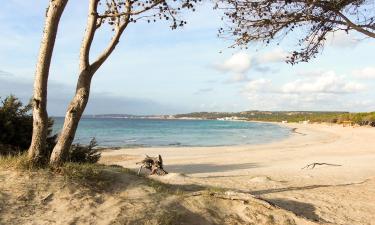 Alquileres vacacionales en Cutrofiano