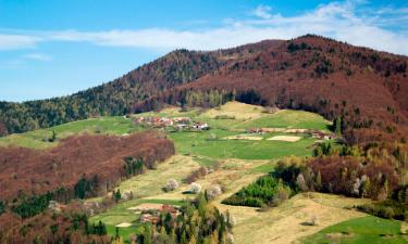 Cottages in Tylicz