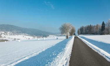 Hoteller i Waldkirchen